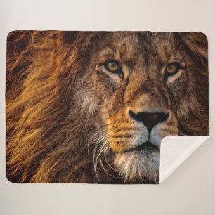 Lion Sherpa Blanket