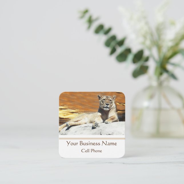 Lion Sitting on Rock King of the Hill Square Business Card (Standing Front)