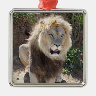 Lion sitting on the rocks metal tree decoration
