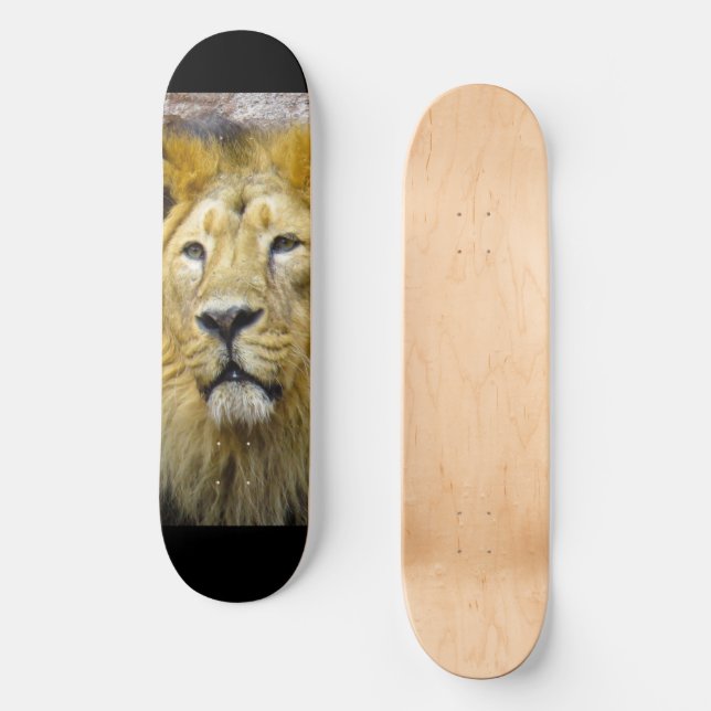 Lion Skateboard (Front)