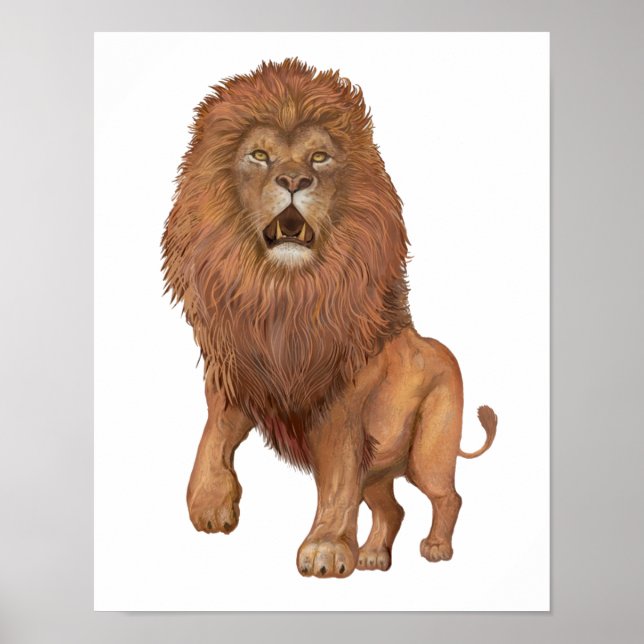 Lion  Small Poster (Front)