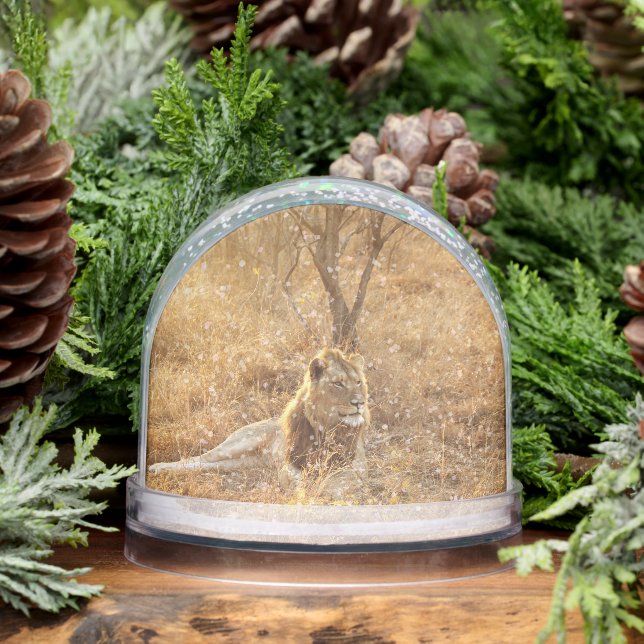 Lion Snowglobe (Winter)