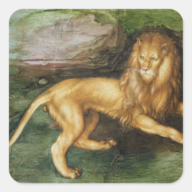 Lion Square Sticker (Front)
