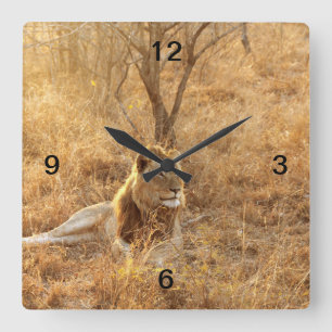 Lion Square Wall Clock