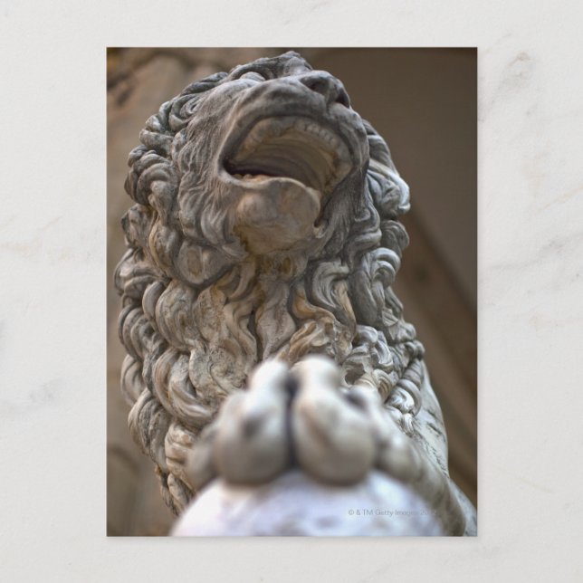 lion statue Florence Italy Postcard (Front)
