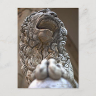 lion statue Florence Italy Postcard