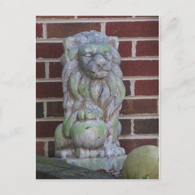Lion Statue Postcard (Front)