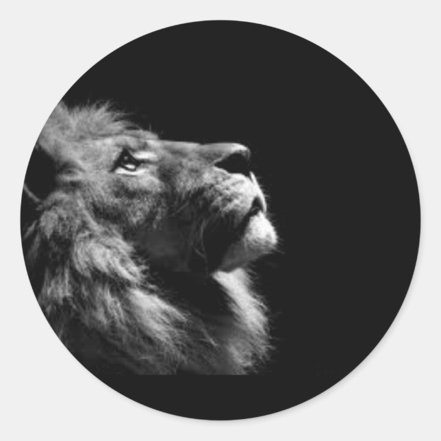 Lion Stickers (Front)