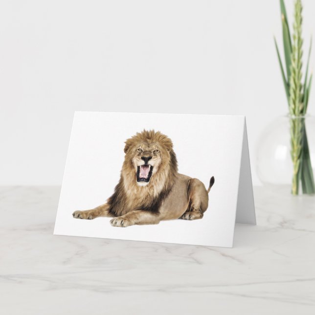 LION STORY HOLIDAY CARD (Front)
