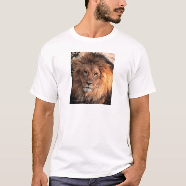 Lion T-Shirt (Front)