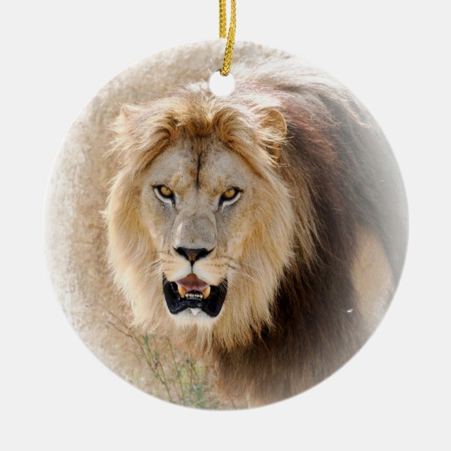 Lion T-Shirt Ceramic Tree Decoration (Front)