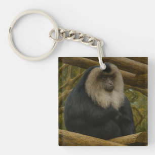 Lion-Tailed Macaque in Forest Sanctuary Key Ring