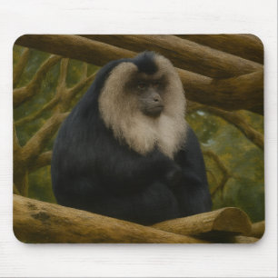 Lion-Tailed Macaque in Forest Sanctuary Mouse Mat