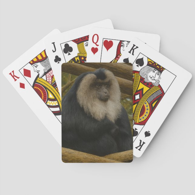 Lion-Tailed Macaque in Forest Sanctuary Playing Cards (Back)