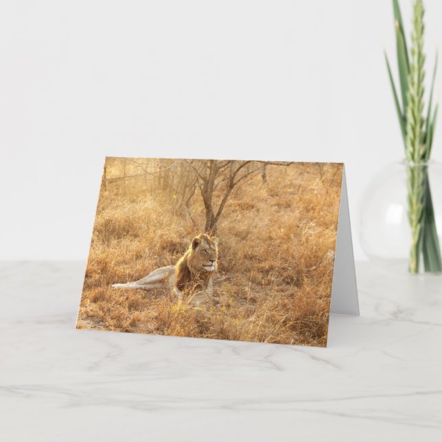 Lion Thank You Card (Front)