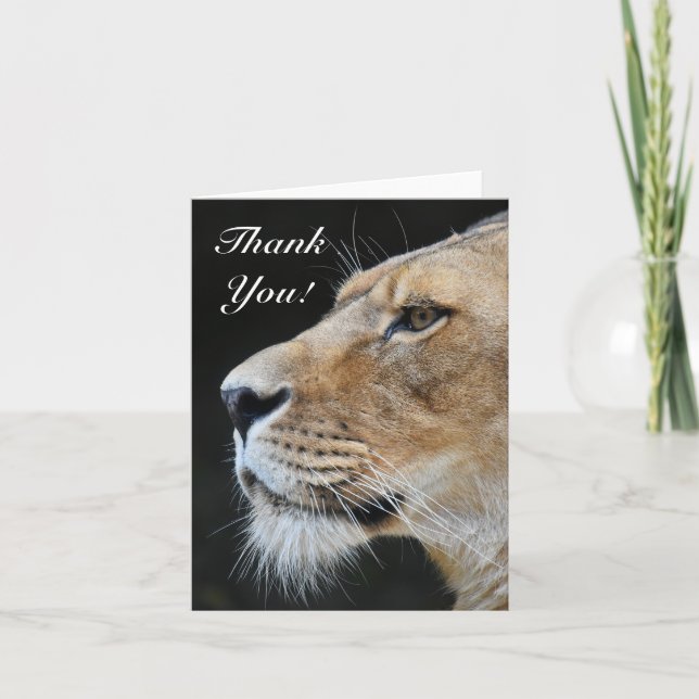 Lion Thank You Card (Front)