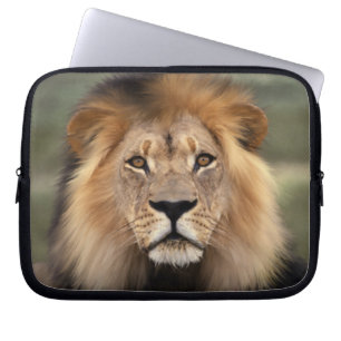 Lion - The King of The Jungle Laptop Sleeve