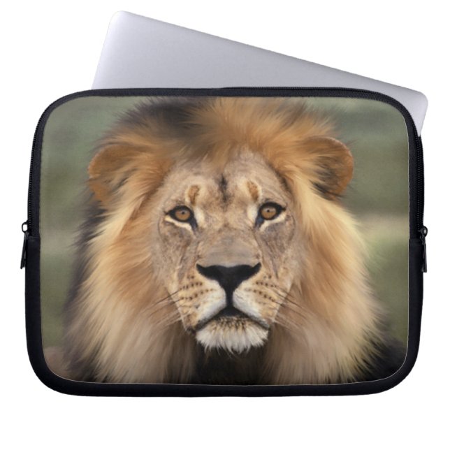 Lion - The King of The Jungle Laptop Sleeve (Front)