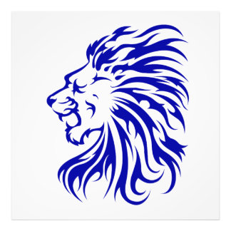 Lion the King of the jungle,lion lover gifts,lion Photo Print