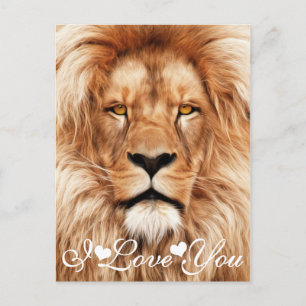 Lion The King Photo Painting I Love You Postcard