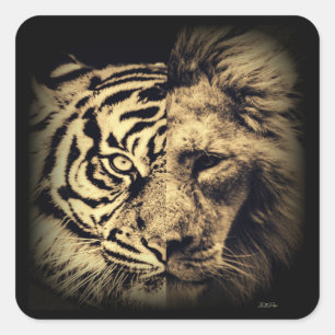 Lion Tiger 2in1 Sticker
