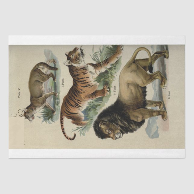 Lion Tiger Puma Ephemera Decoupage Tissue Paper (Front)