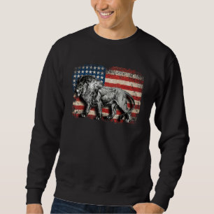 Lion Usa American Flag 4th Of July Patriotic 1 Sweatshirt