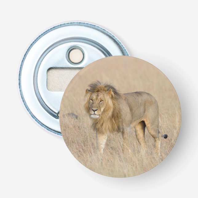 Lion walking bottle opener (Front)