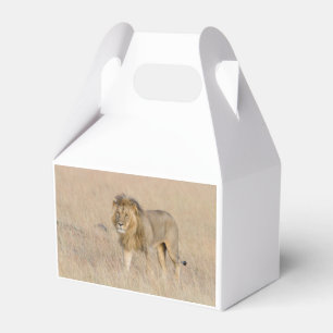 Lion walking favour box
