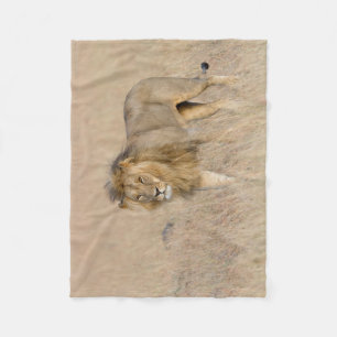 Lion walking fleece blanket