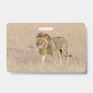 Lion walking ID badge