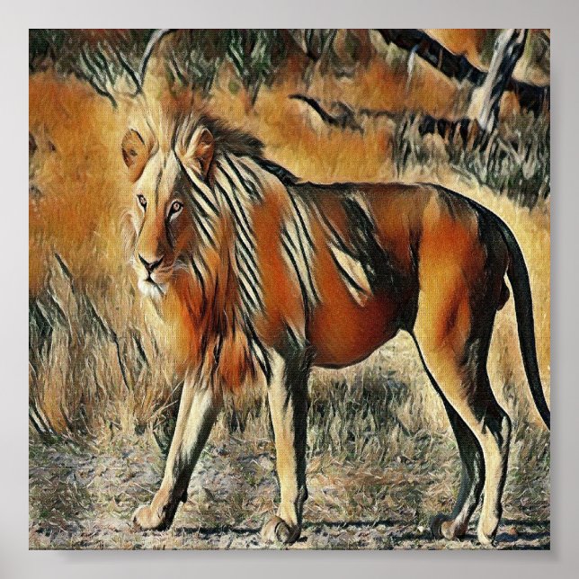 Lion walking in the bushes  poster (Front)