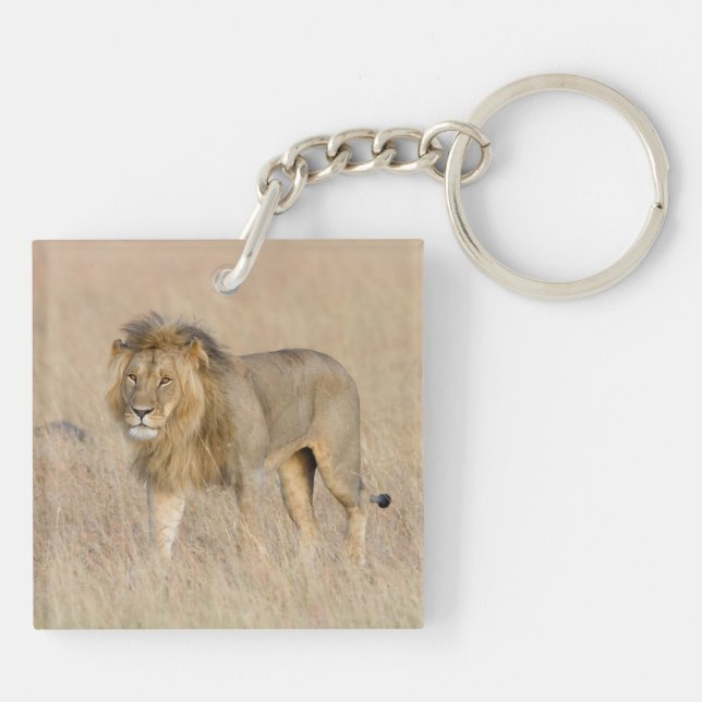 Lion walking key ring (Back)