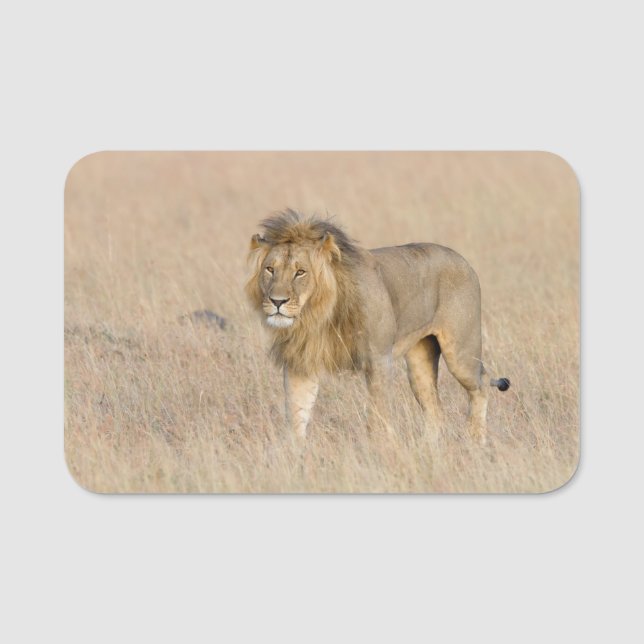 Lion walking name tag (Front)