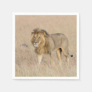 Lion walking napkin