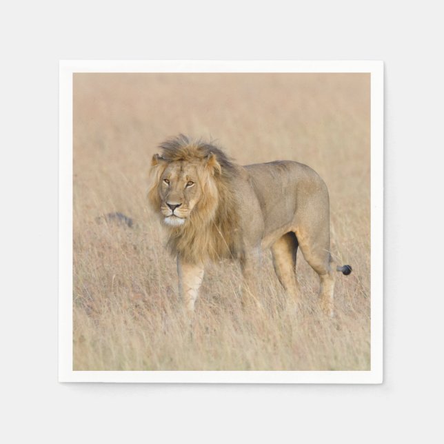 Lion walking napkin (Front)
