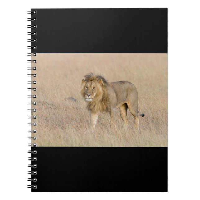 Lion walking notebook (Front)