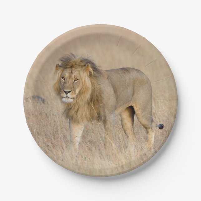 Lion walking paper plate (Front)