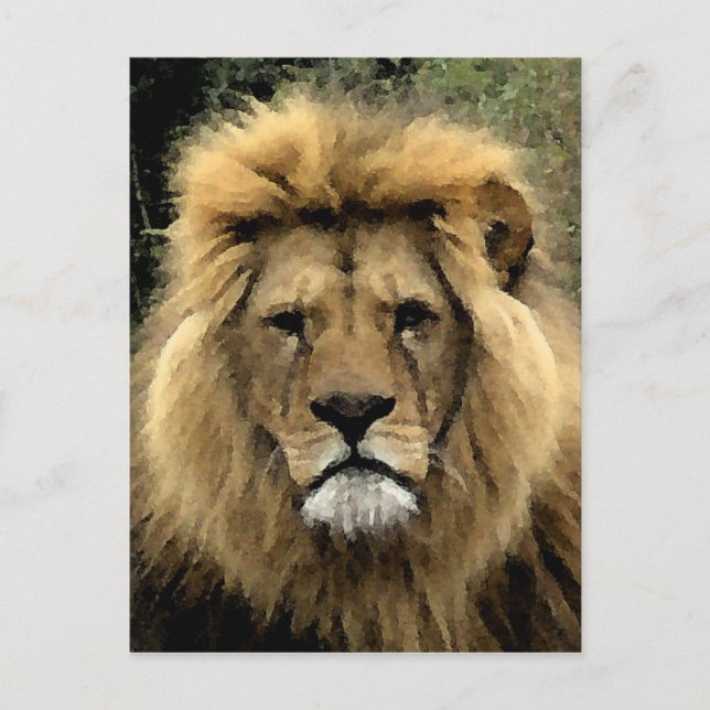 Lion Watercolour Portrait Postcard (Front)
