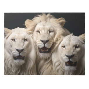 Lion Wild Animal Portrait Fierce Power Notepad