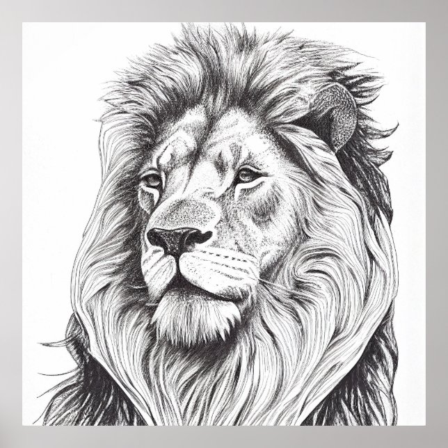 Lion Wild Nature Animal Illustration Art Drawing Poster (Front)