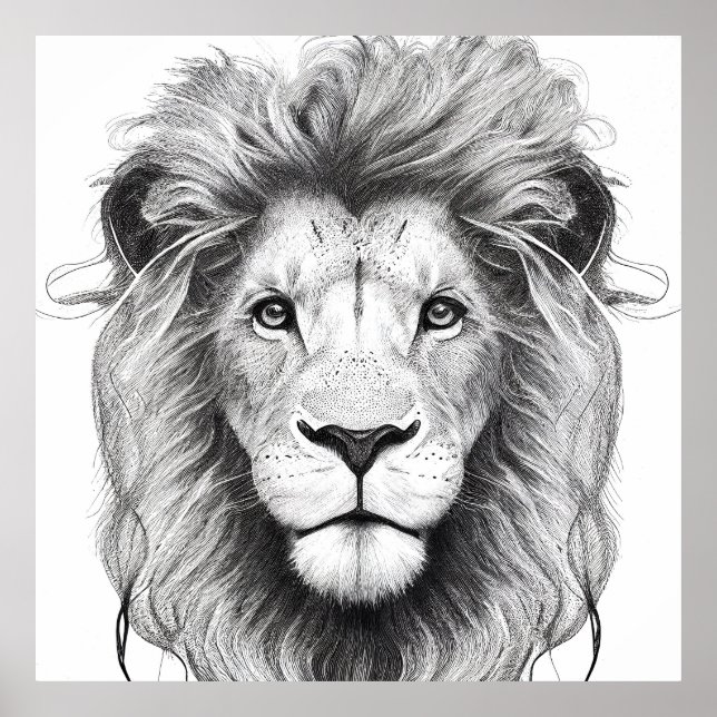 Lion Wild Nature Animal Illustration Art Drawing Poster (Front)