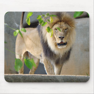 Lion Wildlife Mousepad