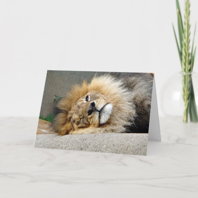 Lion Wink Greeting Card (Front)