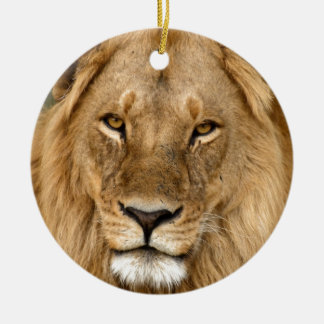 Lion With Great Mane Ceramic Tree Decoration
