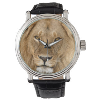 Lion With Great Mane Watch