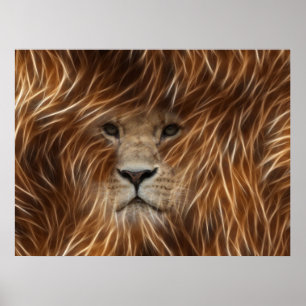 Lion With Long Hair Posters