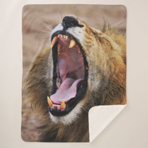 LION YAWN SHERPA BLANKET