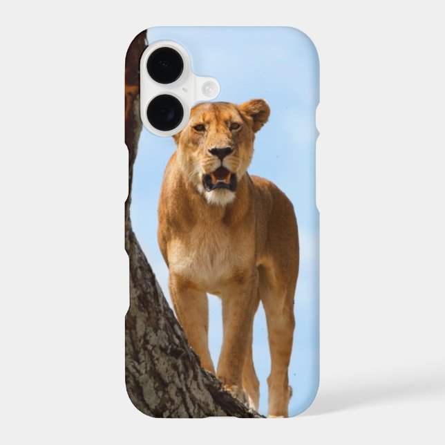 Lioness (Back)