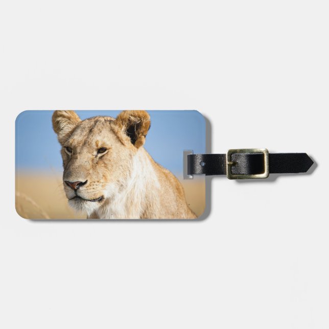 Lioness against blue sky luggage tag (Front Horizontal)
